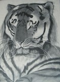 by Angeline Wornkey