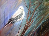 by Margi Tucker