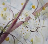 by Gudrun  Hreinsdottir 