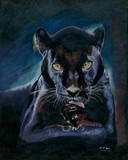 by ascension nelson