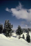by Kamaljeet Chugh