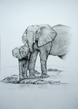 by Amanda Martin