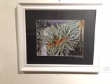 by Sandy Bennett Art Gallery 
