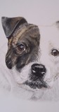 by Debi Ware