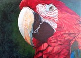 by Soul-of Cuba