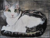 by Dawn Moir-Harris