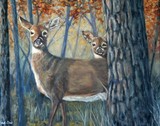 by Beth Clark