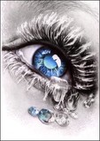 by Denise Catino
