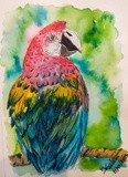 by Marija Knezevic