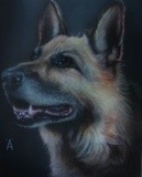 by andrew stewart