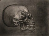 by Molly Wingert