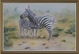 by Peter Kalumbete