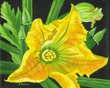 by Kathleen Brake