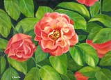 by Kathleen Brake