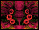 by Pepita Selles