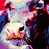 by connie van winssen