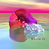 by Anne Vis