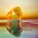by Anne Vis