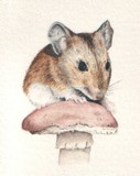 by Gillian  McMurray