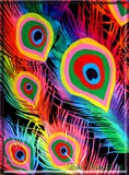 by Nira Dabush