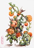 by Mistyr E.