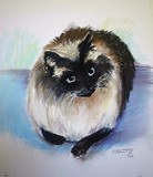by Anne Kelty