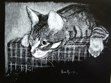 by Anne Kelty