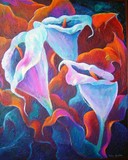 by Helen Amrhein