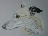 by Ruth Tyson