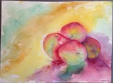 by Belinda Balaski
