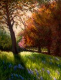 by Casey Catton