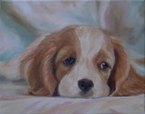 by Casey Catton