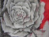 by Brigitte  Hintner