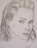 by Stephanie Foshee