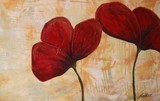 by Noelle Rollins 