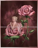 by Rachael Tallamy