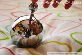 by Maria Paola Di Santo