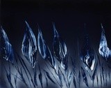 by ARTURO SPRAYCASSO