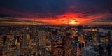 by Neil Shapiro