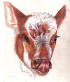 by Robin Gorton