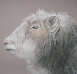 by Joanne Simpson-Connor