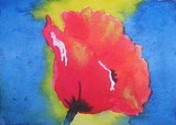 by Joanne Simpson-Connor