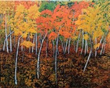 by Jeff Gould