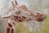 by Leigh Rust