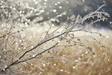 by VELYKIO - gintautas velykis -