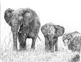 by Deborah L. Duffield