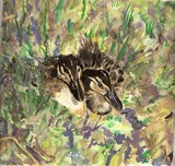 by Liz Robinson