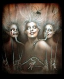 by david magitis