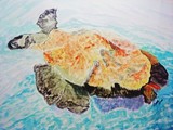 by Rain Leveille