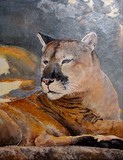 by Jennie Yuen